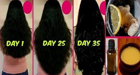 1625928220 159 تقویت رشد مو و جلوگیری از ریزش مو با زنجبیل تقویت رشد مو و جلوگیری از ریزش مو با زنجبیل